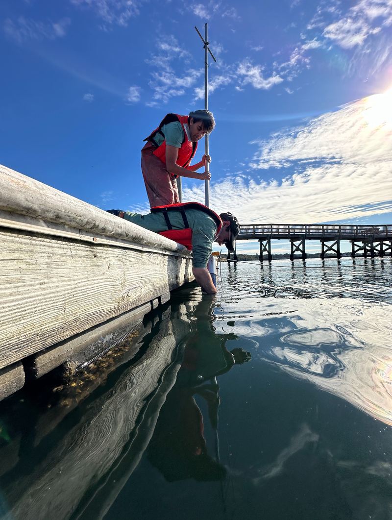 Two researchers in life jackets lean over the side of a dock, lowering a sediment corer into shallow water.